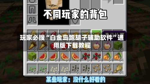 玩家必搜“白金岛跑胡子辅助软件	”通用版下载教程-第1张图片