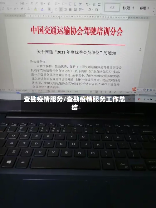 查勘疫情服务/查勘疫情服务工作总结-第2张图片