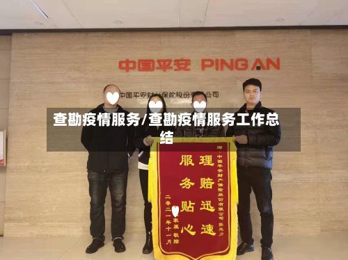 查勘疫情服务/查勘疫情服务工作总结