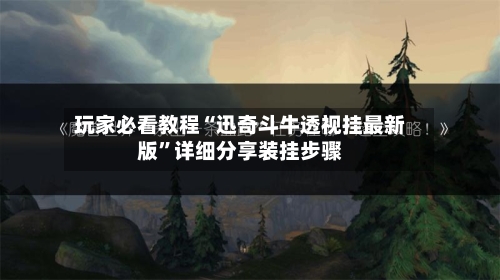 玩家必看教程“迅奇斗牛透视挂最新版”详细分享装挂步骤-第1张图片