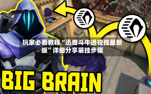 玩家必看教程“迅奇斗牛透视挂最新版	”详细分享装挂步骤-第2张图片