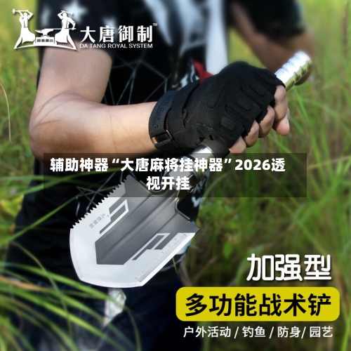 辅助神器“大唐麻将挂神器”2026透视开挂-第1张图片