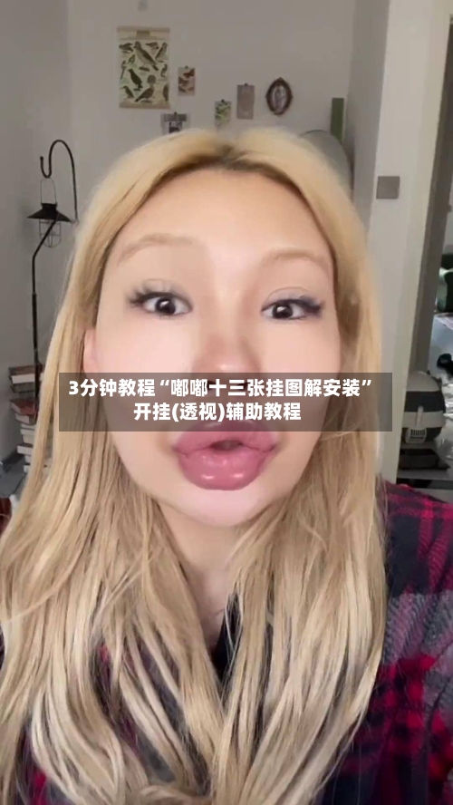 3分钟教程“嘟嘟十三张挂图解安装	”开挂(透视)辅助教程-第1张图片