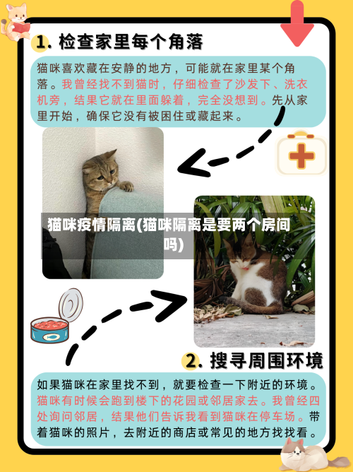 猫咪疫情隔离(猫咪隔离是要两个房间吗)-第2张图片