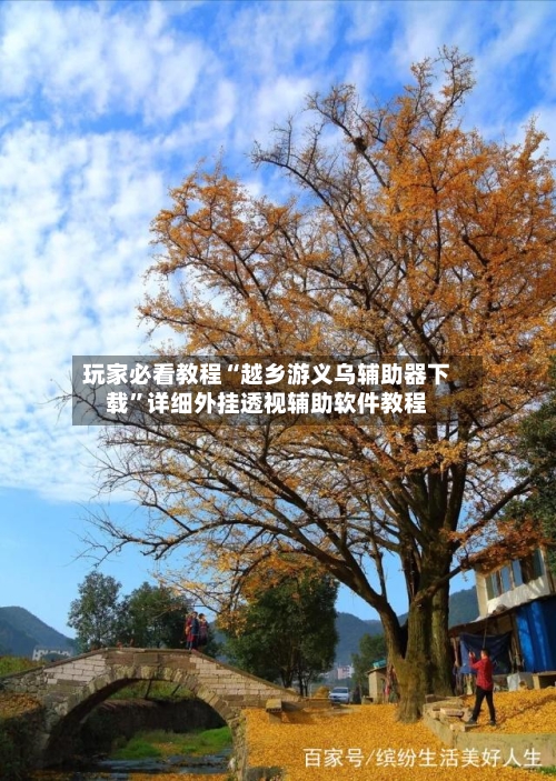 玩家必看教程“越乡游义乌辅助器下载”详细外挂透视辅助软件教程-第3张图片