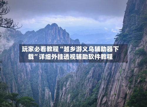 玩家必看教程“越乡游义乌辅助器下载”详细外挂透视辅助软件教程-第2张图片
