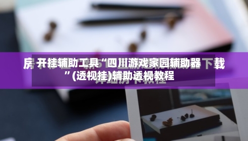 开挂辅助工具“四川游戏家园辅助器”(透视挂)辅助透视教程-第2张图片