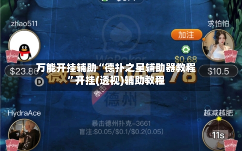 万能开挂辅助“德扑之星辅助器教程”开挂(透视)辅助教程-第1张图片