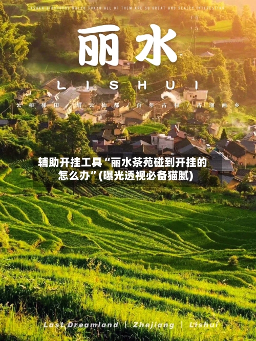 辅助开挂工具“丽水茶苑碰到开挂的怎么办”(曝光透视必备猫腻)