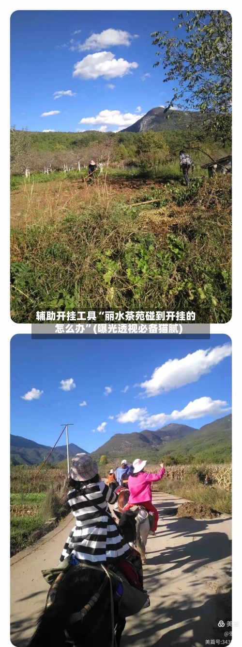 辅助开挂工具“丽水茶苑碰到开挂的怎么办”(曝光透视必备猫腻)-第2张图片