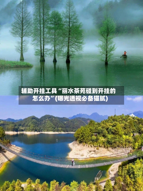 辅助开挂工具“丽水茶苑碰到开挂的怎么办”(曝光透视必备猫腻)-第3张图片