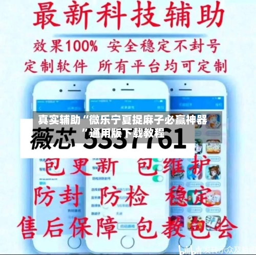 真实辅助“微乐宁夏捉麻子必赢神器”通用版下载教程-第1张图片