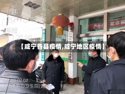 【咸宁各县疫情,咸宁地区疫情】-第3张图片