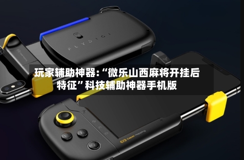 玩家辅助神器:“微乐山西麻将开挂后特征”科技辅助神器手机版-第2张图片