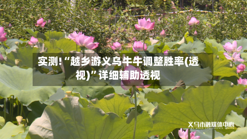 实测!“越乡游义乌牛牛调整胜率(透视)”详细辅助透视-第2张图片