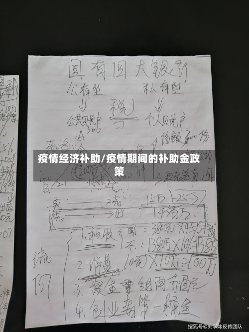 疫情经济补助/疫情期间的补助金政策