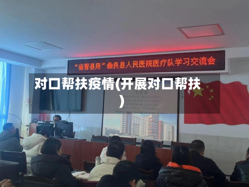 对口帮扶疫情(开展对口帮扶)