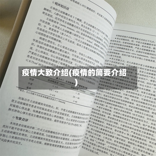 疫情大致介绍(疫情的简要介绍)