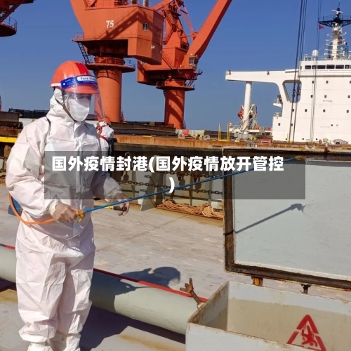 国外疫情封港(国外疫情放开管控)-第2张图片