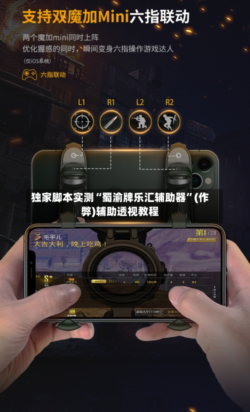 独家脚本实测“蜀渝牌乐汇辅助器”(作弊)辅助透视教程-第2张图片