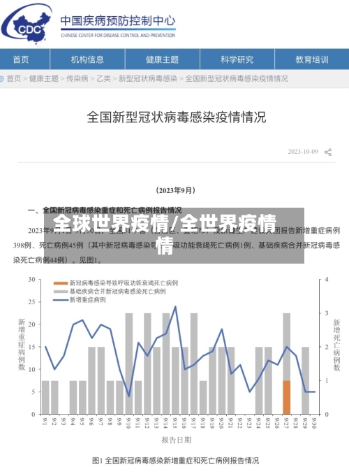 全球世界疫情/全世界疫情情-第2张图片