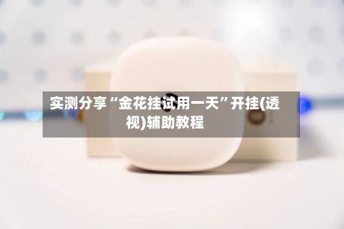 实测分享“金花挂试用一天	”开挂(透视)辅助教程-第2张图片