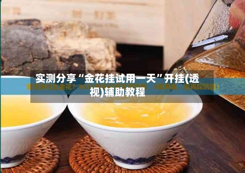 实测分享“金花挂试用一天”开挂(透视)辅助教程-第1张图片