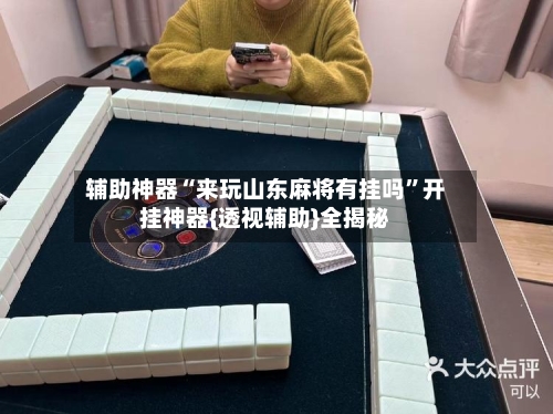 辅助神器“来玩山东麻将有挂吗”开挂神器{透视辅助}全揭秘-第3张图片