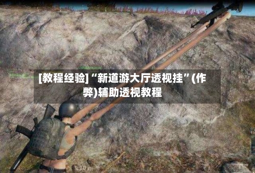 [教程经验]“新道游大厅透视挂”(作弊)辅助透视教程-第1张图片