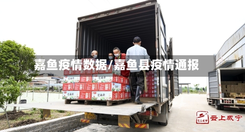 嘉鱼疫情数据/嘉鱼县疫情通报-第2张图片