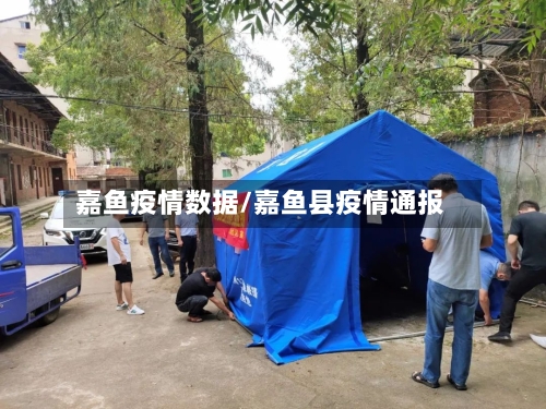 嘉鱼疫情数据/嘉鱼县疫情通报-第1张图片