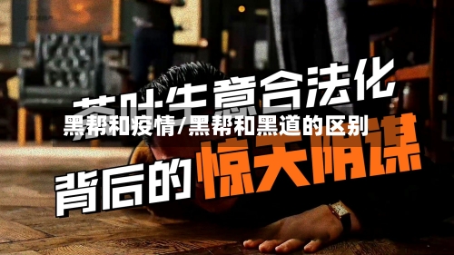 黑帮和疫情/黑帮和黑道的区别-第2张图片