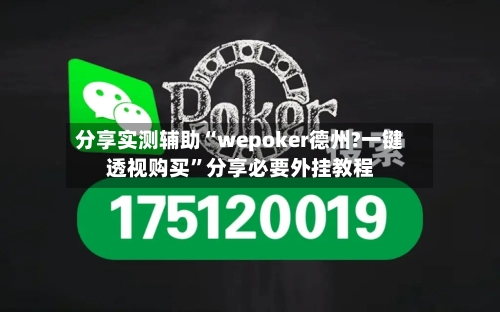 分享实测辅助“wepoker德州?一键透视购买”分享必要外挂教程-第1张图片