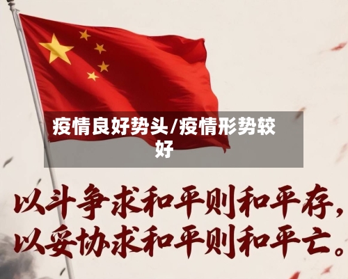 疫情良好势头/疫情形势较好-第2张图片