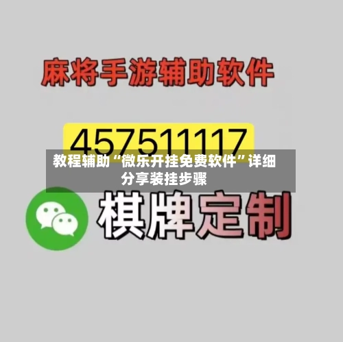 教程辅助“微乐开挂免费软件	”详细分享装挂步骤-第1张图片