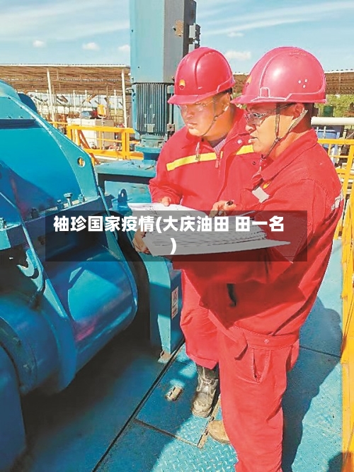 袖珍国家疫情(大庆油田 田一名)-第1张图片