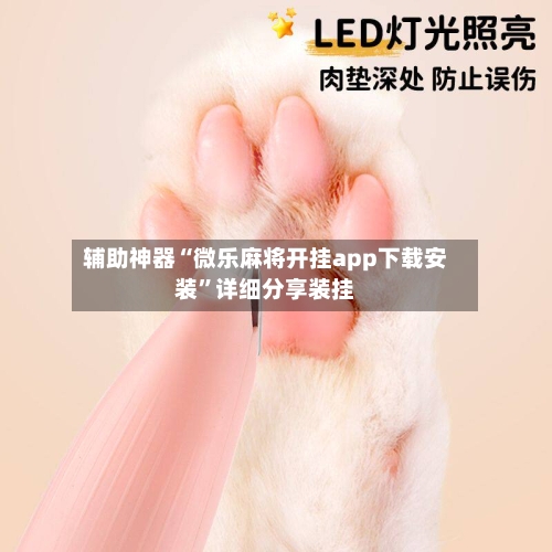 辅助神器“微乐麻将开挂app下载安装”详细分享装挂-第1张图片