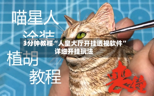 3分钟教程“人皇大厅开挂透视软件	”详细开挂玩法-第3张图片