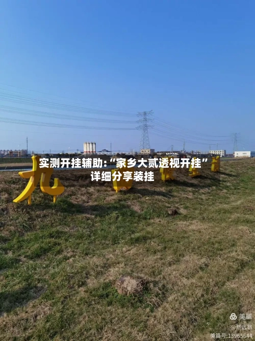 实测开挂辅助:“家乡大贰透视开挂”详细分享装挂-第1张图片