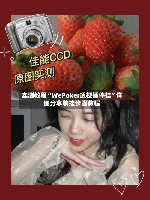 实测教程“WePoker透视插件挂	”详细分享装挂步骤教程-第1张图片