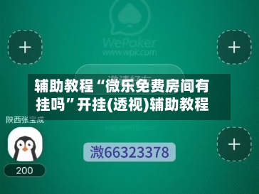 辅助教程“微乐免费房间有挂吗”开挂(透视)辅助教程-第3张图片