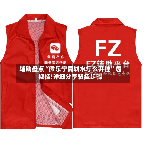 辅助盘点“微乐宁夏划水怎么开挂”透视挂!详细分享装挂步骤-第3张图片