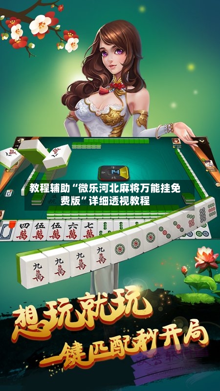 教程辅助“微乐河北麻将万能挂免费版”详细透视教程-第2张图片