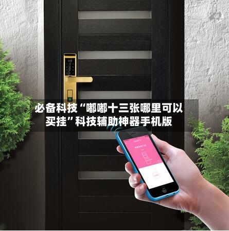 必备科技“嘟嘟十三张哪里可以买挂”科技辅助神器手机版-第3张图片