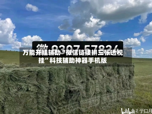 万能开挂辅助“微信链接拼三张透视挂	”科技辅助神器手机版-第1张图片