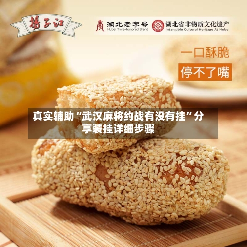 真实辅助“武汉麻将约战有没有挂”分享装挂详细步骤-第3张图片