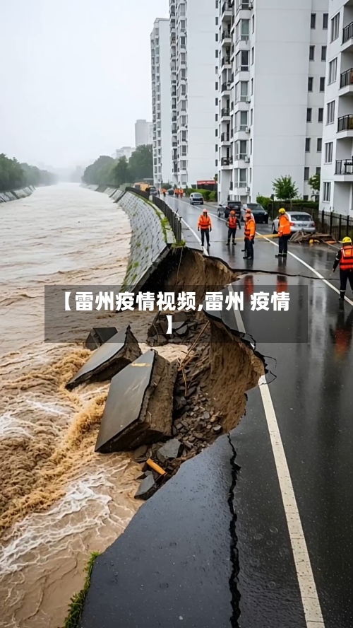 【雷州疫情视频,雷州 疫情】