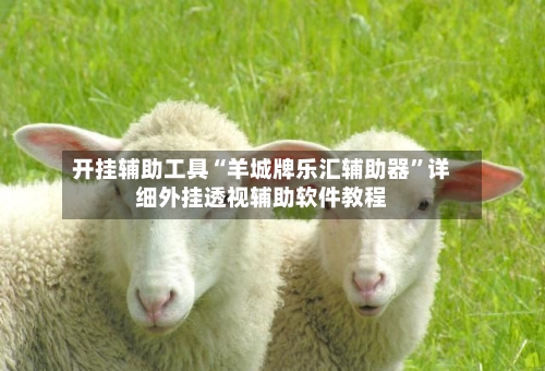 开挂辅助工具“羊城牌乐汇辅助器”详细外挂透视辅助软件教程