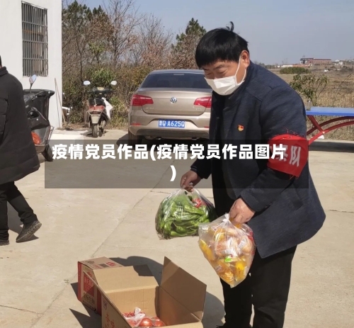 疫情党员作品(疫情党员作品图片)-第2张图片