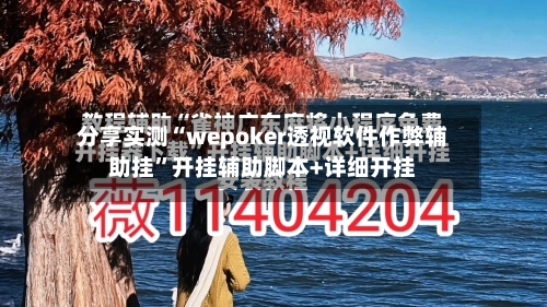 分享实测“wepoker透视软件作弊辅助挂	”开挂辅助脚本+详细开挂-第2张图片